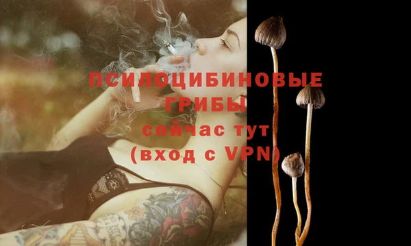 кокс Гусев