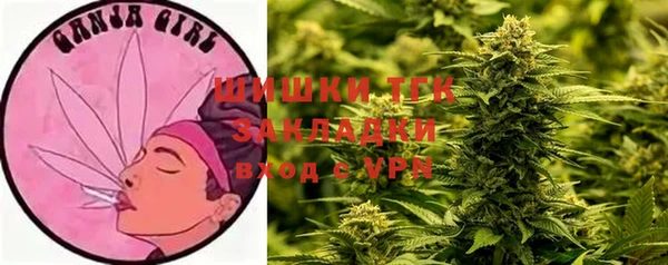 ГАЛЛЮЦИНОГЕННЫЕ ГРИБЫ Гусиноозёрск