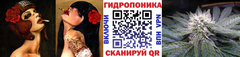 Марихуана OG Kush  Купить где  Хадыженск 